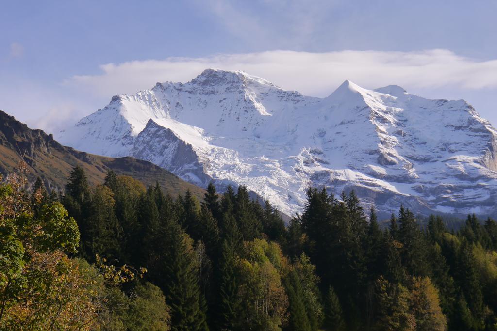 Chalet Acheregg Wengen Bagian luar foto