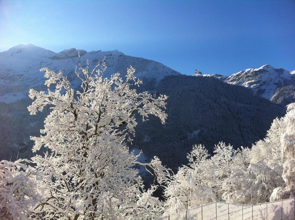 Chalet Acheregg Wengen Bagian luar foto