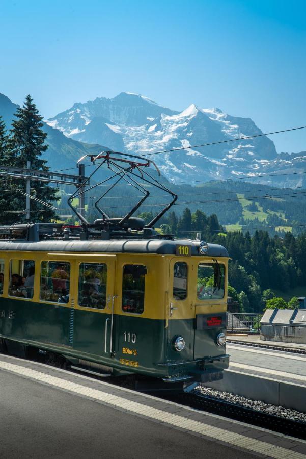 Chalet Acheregg Wengen Bagian luar foto